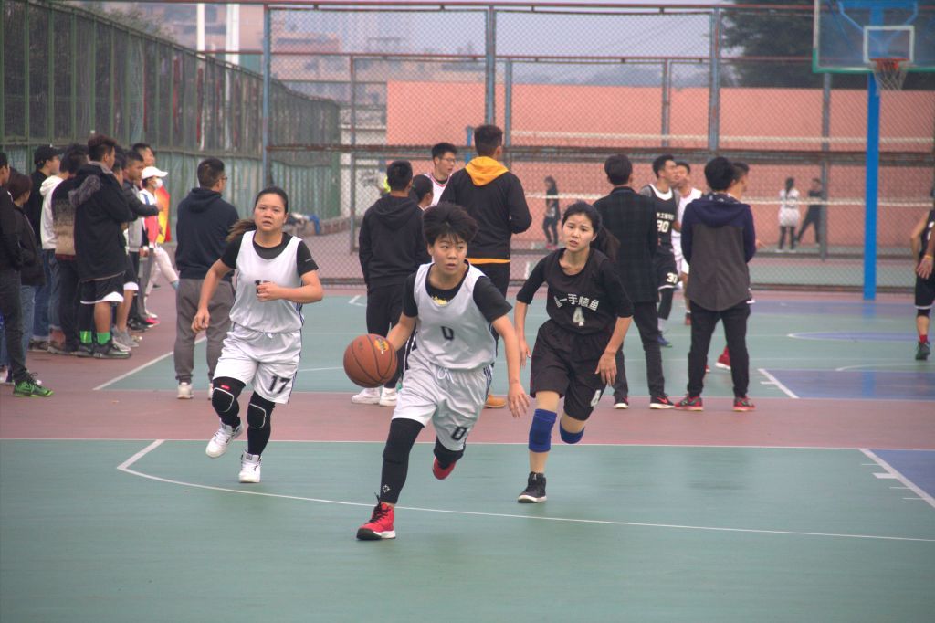 2017-11-27浏览次数